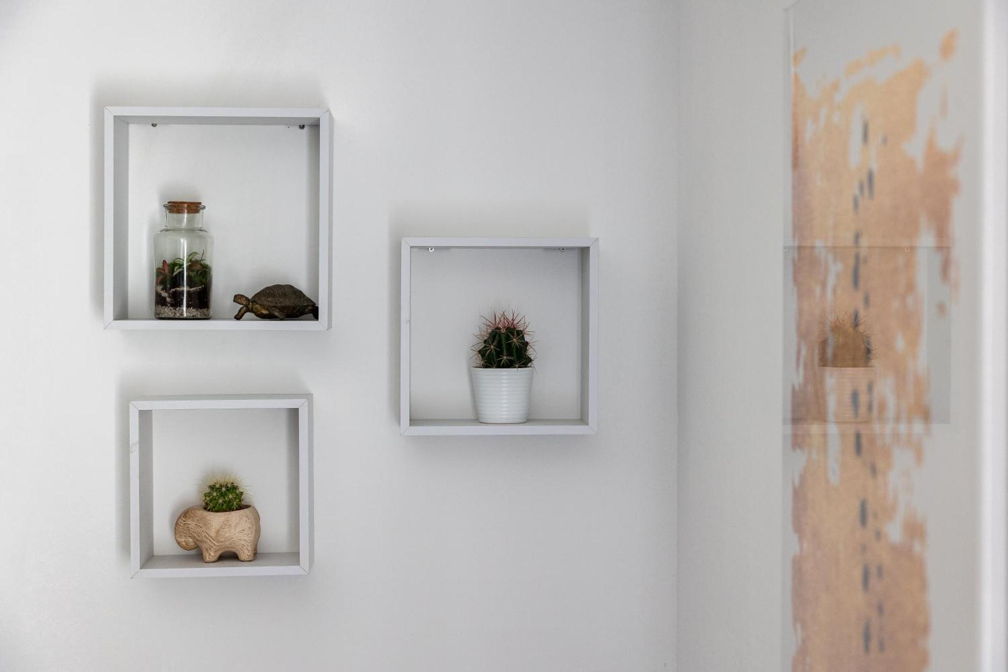 Dubrovnik Domus Apartment מראה חיצוני תמונה